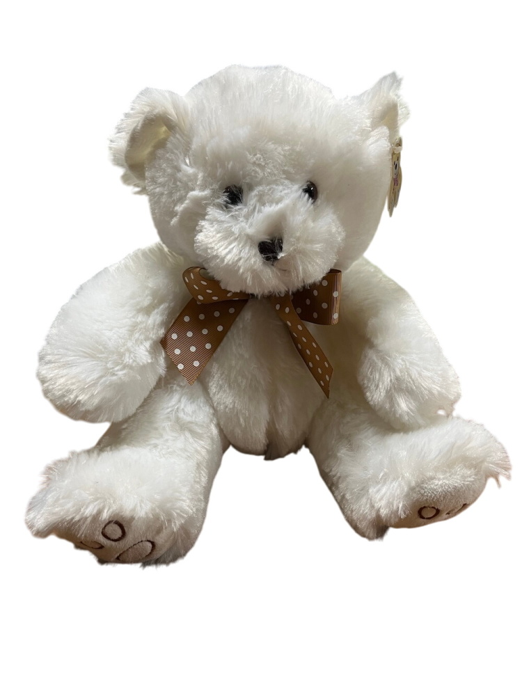 Small White Teddy Bear